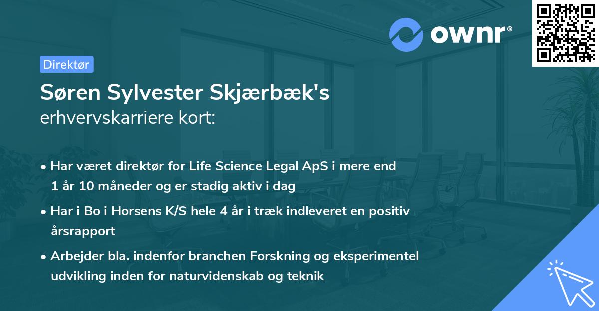 Søren Sylvester Skjærbæk's erhvervskarriere kort
