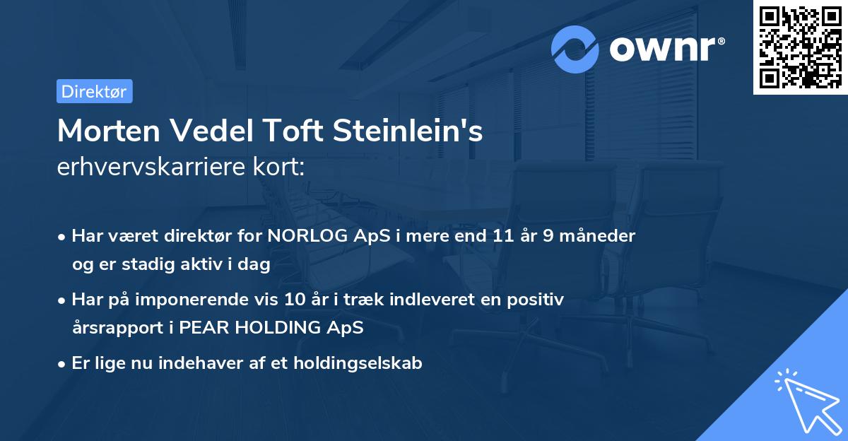 Morten Vedel Toft Steinlein's erhvervskarriere kort