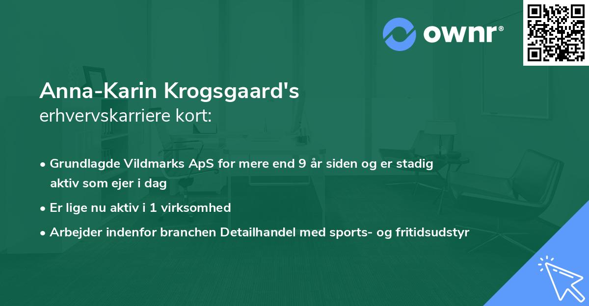 Anna-Karin Krogsgaard's erhvervskarriere kort