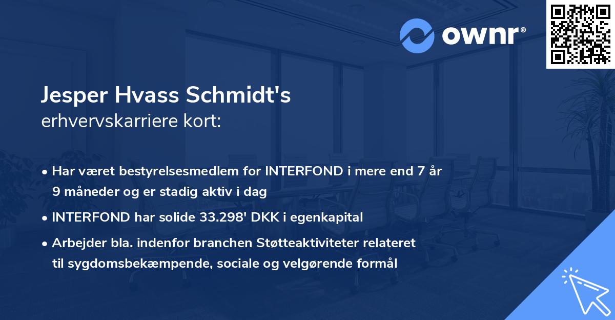 Jesper Hvass Schmidt's erhvervskarriere kort