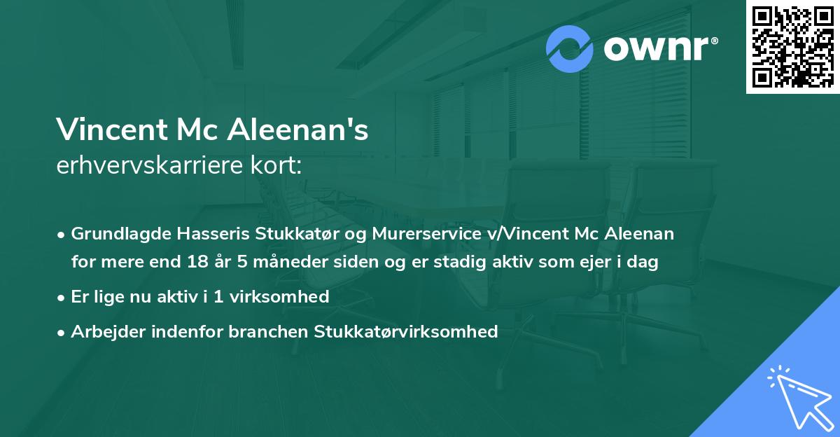 Vincent Mc Aleenan's erhvervskarriere kort