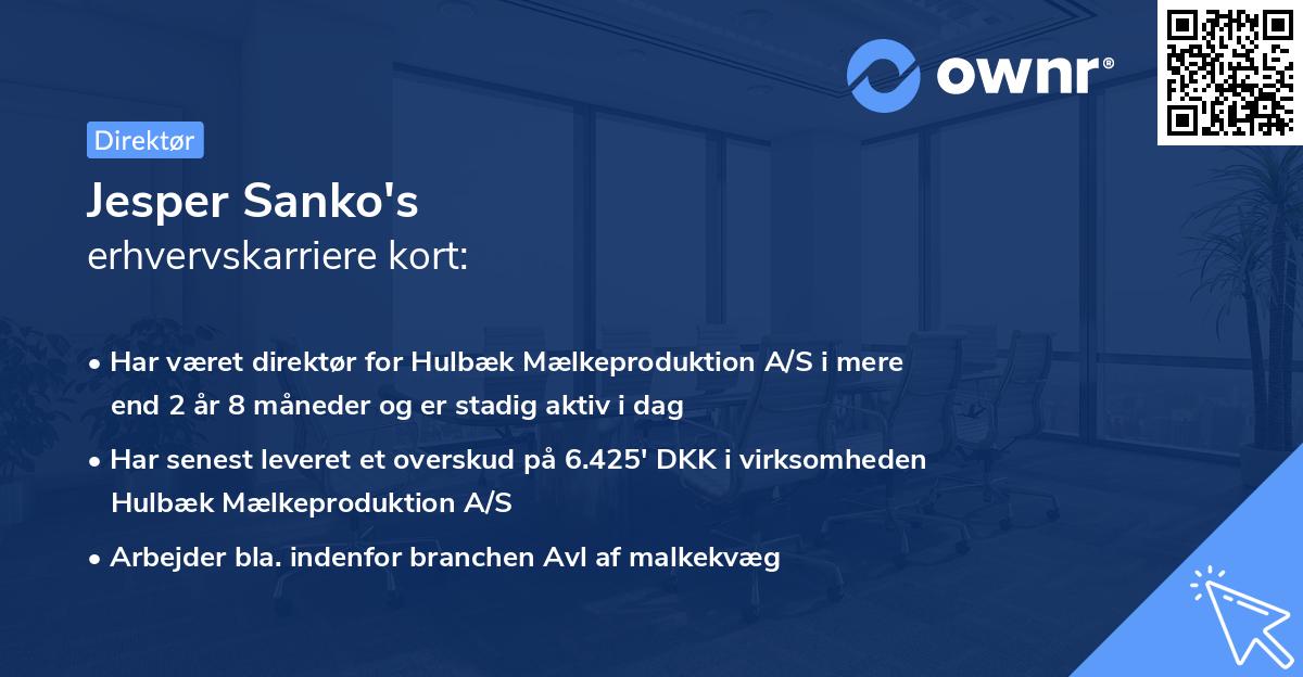 Jesper Sanko's erhvervskarriere kort