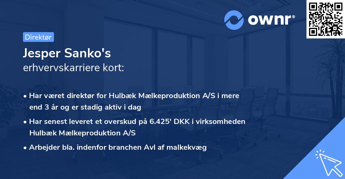 Jesper Sanko's erhvervskarriere kort
