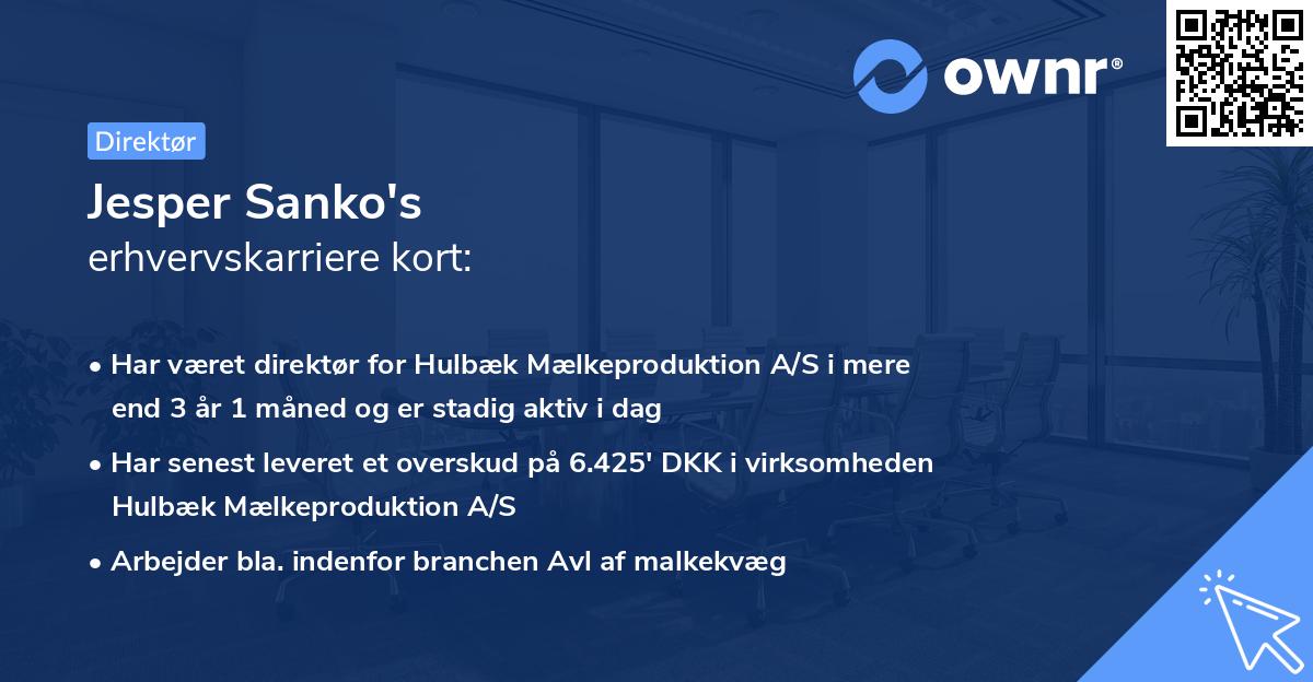 Jesper Sanko's erhvervskarriere kort