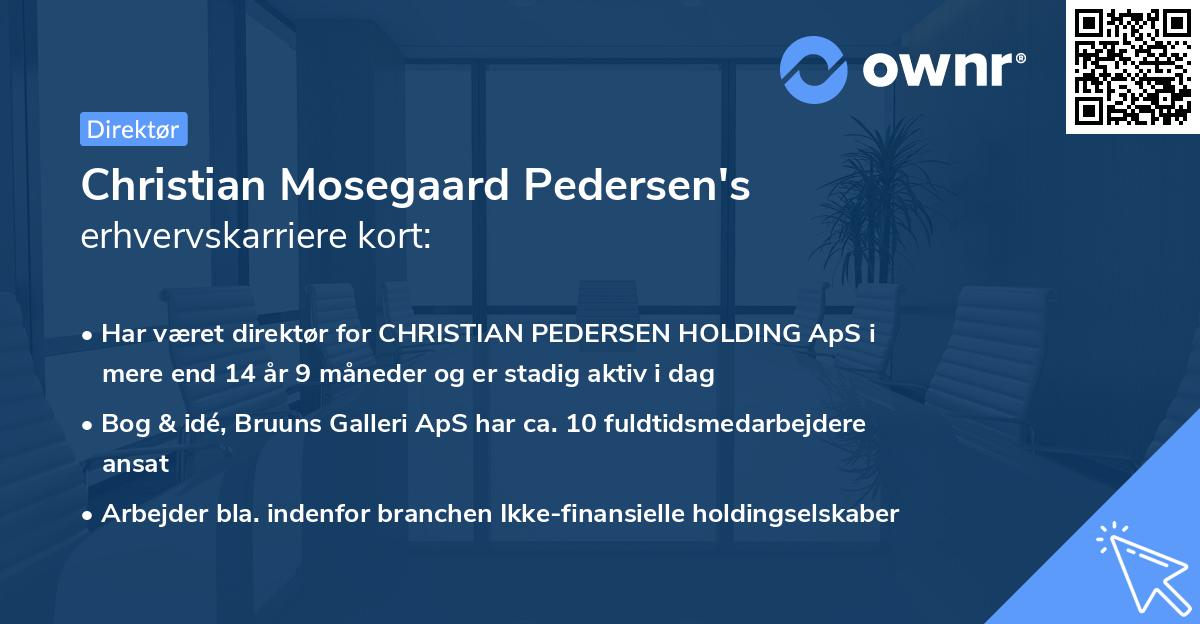 Christian Mosegaard Pedersen's erhvervskarriere kort