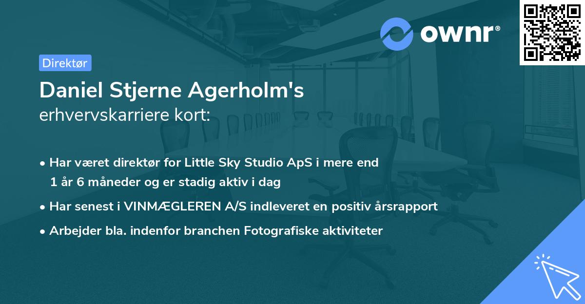 Daniel Stjerne Agerholm's erhvervskarriere kort