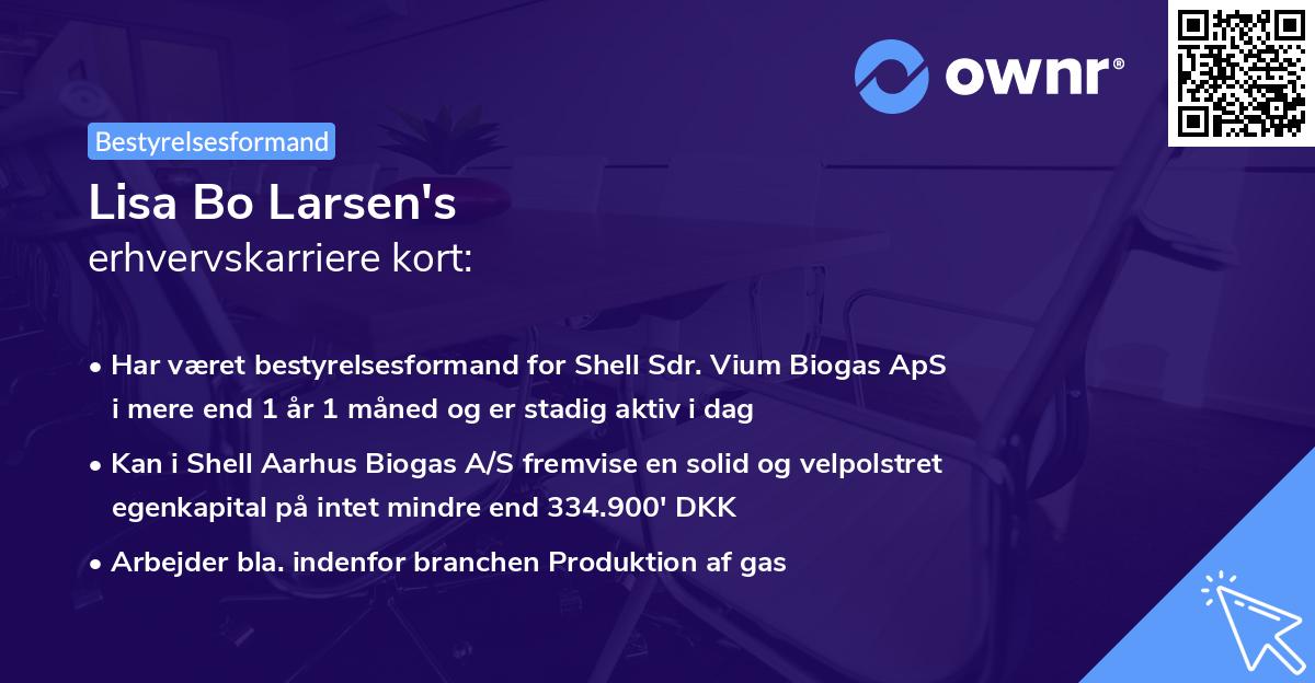 Lisa Bo Larsen's erhvervskarriere kort