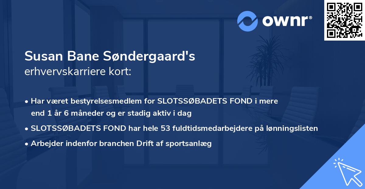 Susan Bane Søndergaard's erhvervskarriere kort