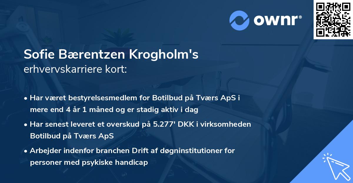 Sofie Bærentzen Krogholm's erhvervskarriere kort