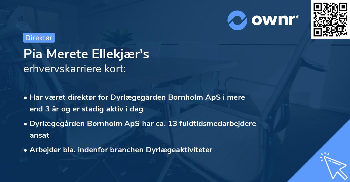 Pia Merete Ellekjær's erhvervskarriere kort