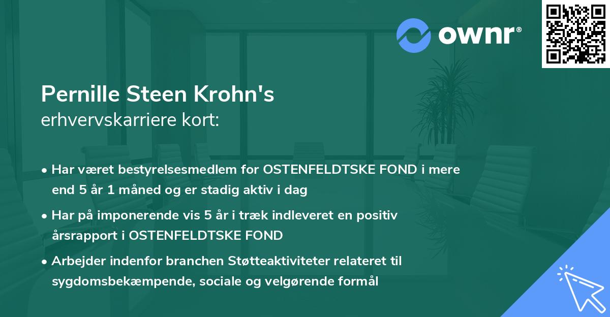 Pernille Steen Krohn's erhvervskarriere kort