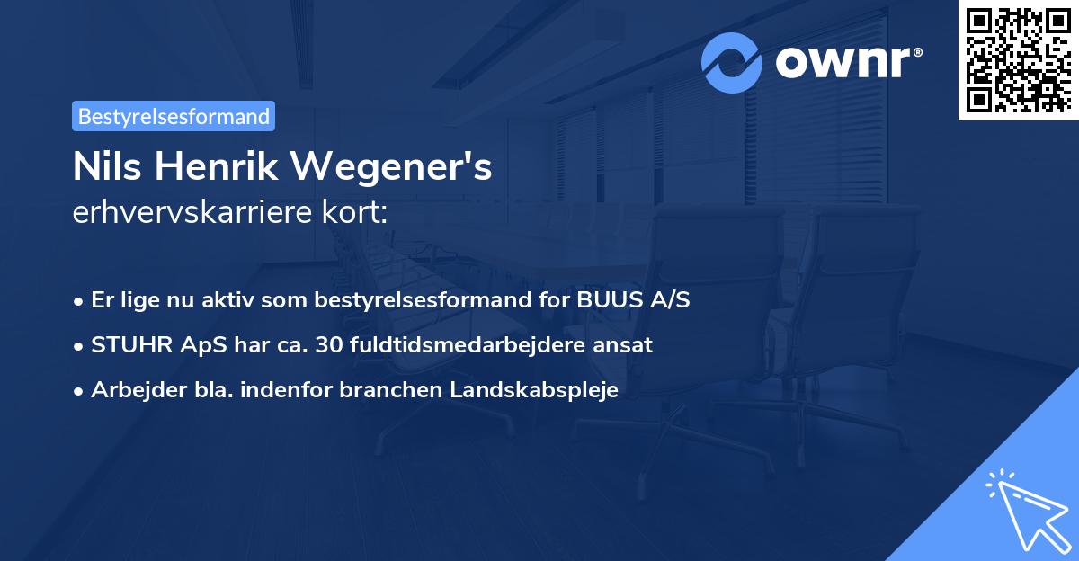 Nils Henrik Wegener's erhvervskarriere kort