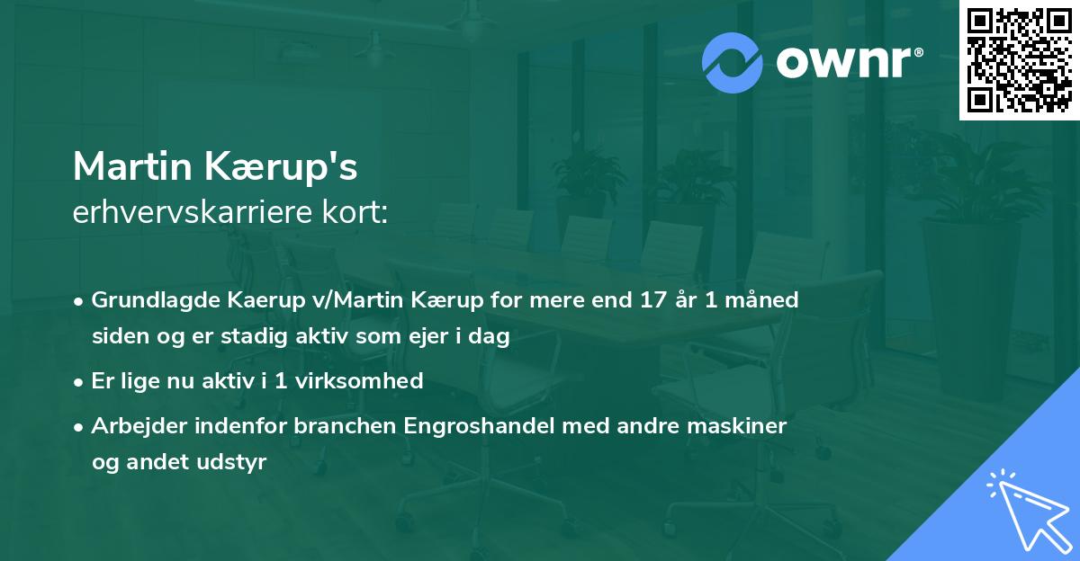 Martin Kærup's erhvervskarriere kort