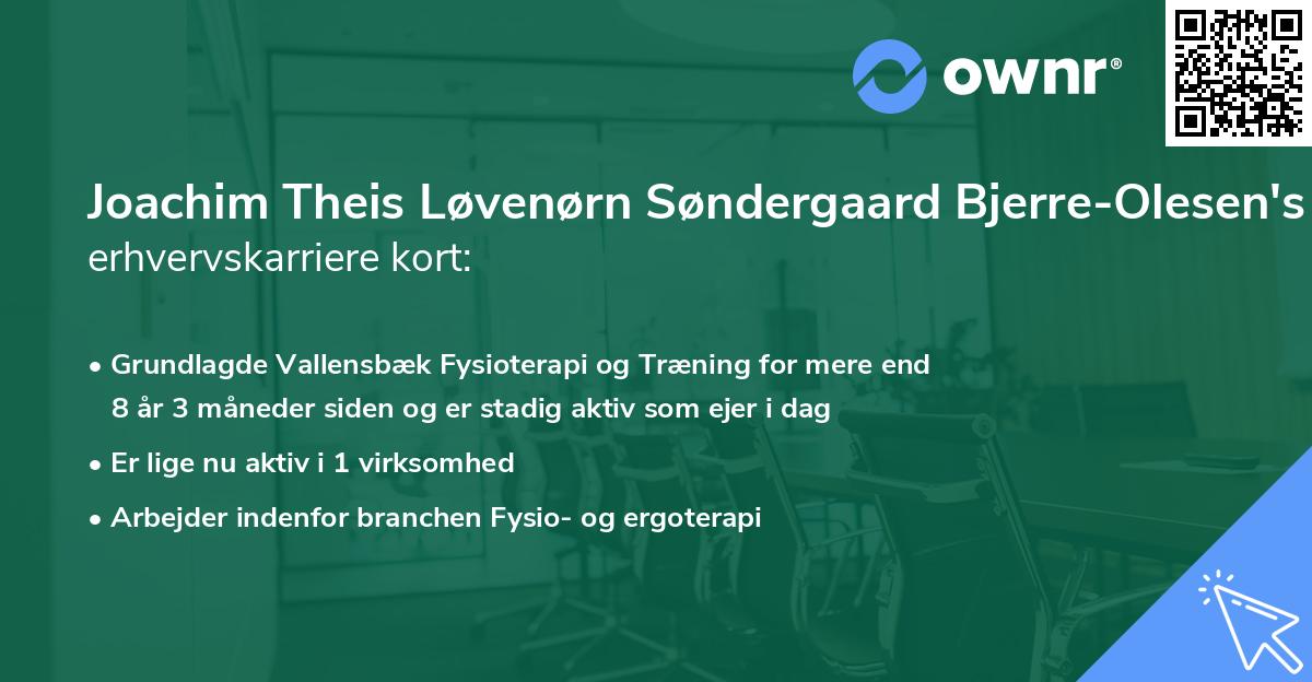 Joachim Theis Løvenørn Søndergaard Bjerre-Olesen's erhvervskarriere kort