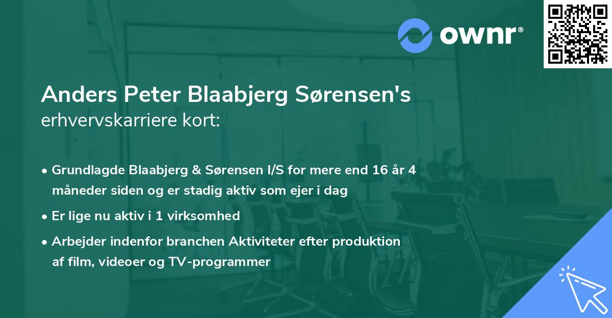 Anders Peter Blaabjerg Sørensen's erhvervskarriere kort
