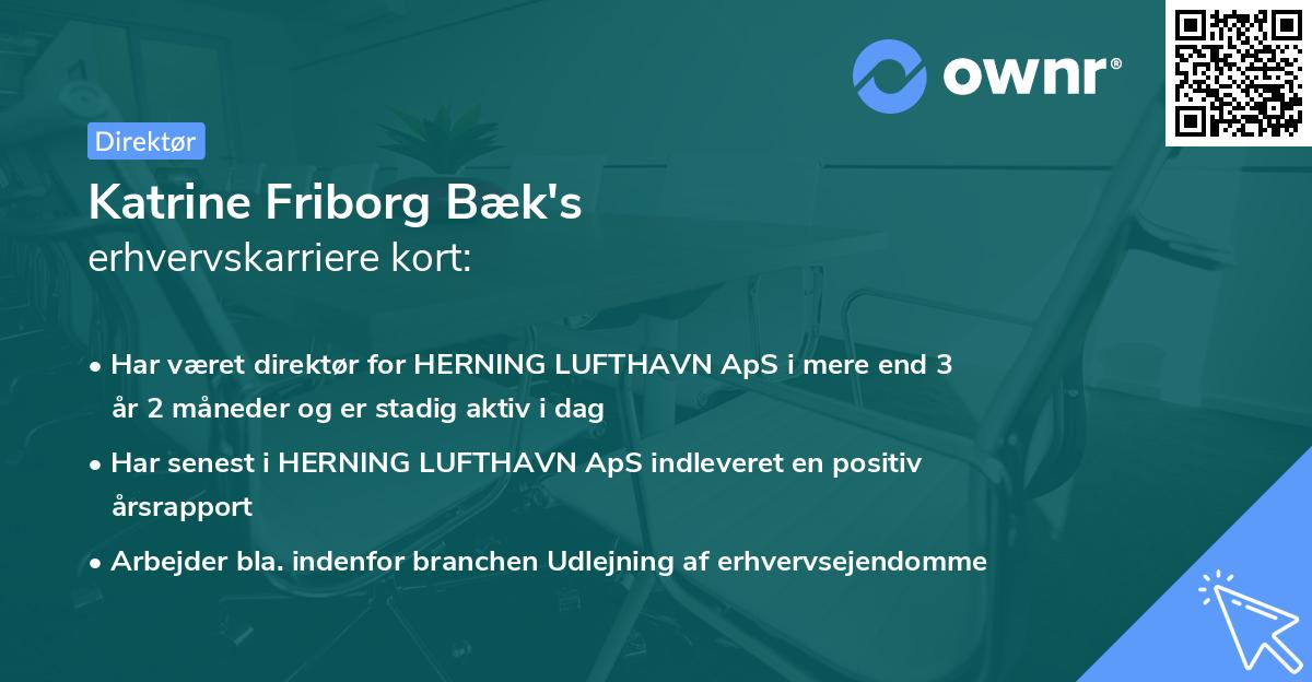 Katrine Friborg Bæk's erhvervskarriere kort