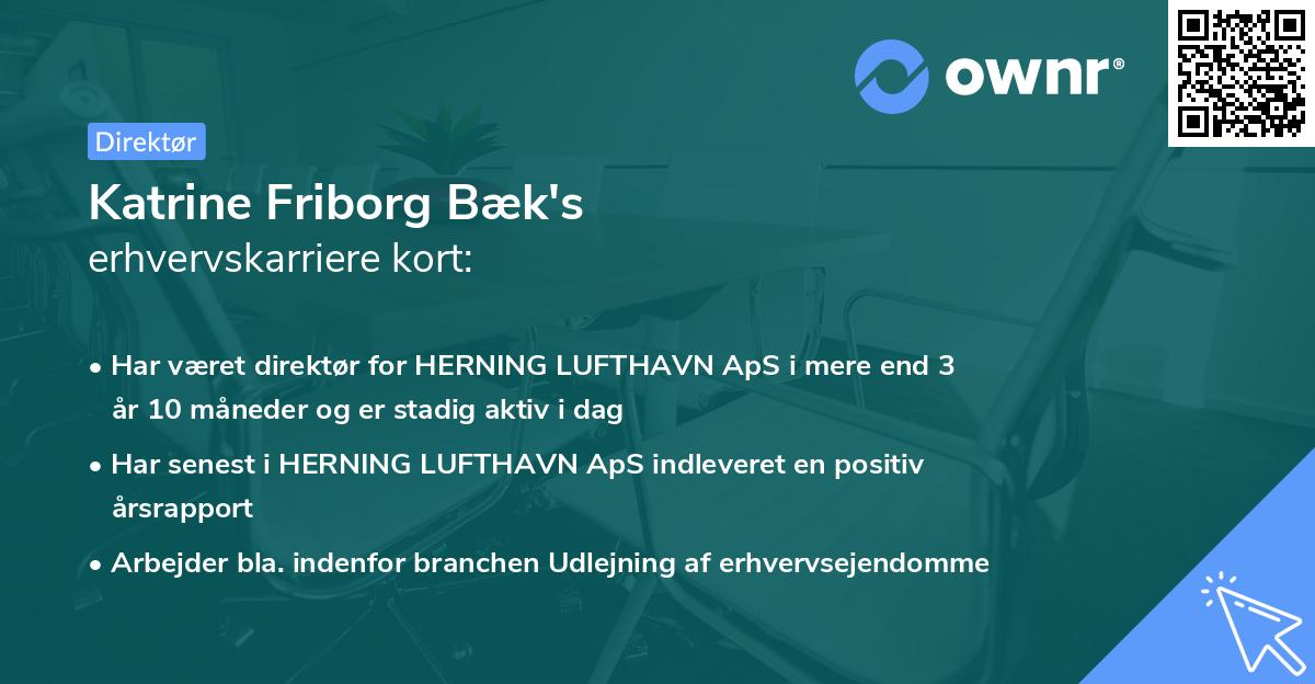 Katrine Friborg Bæk's erhvervskarriere kort