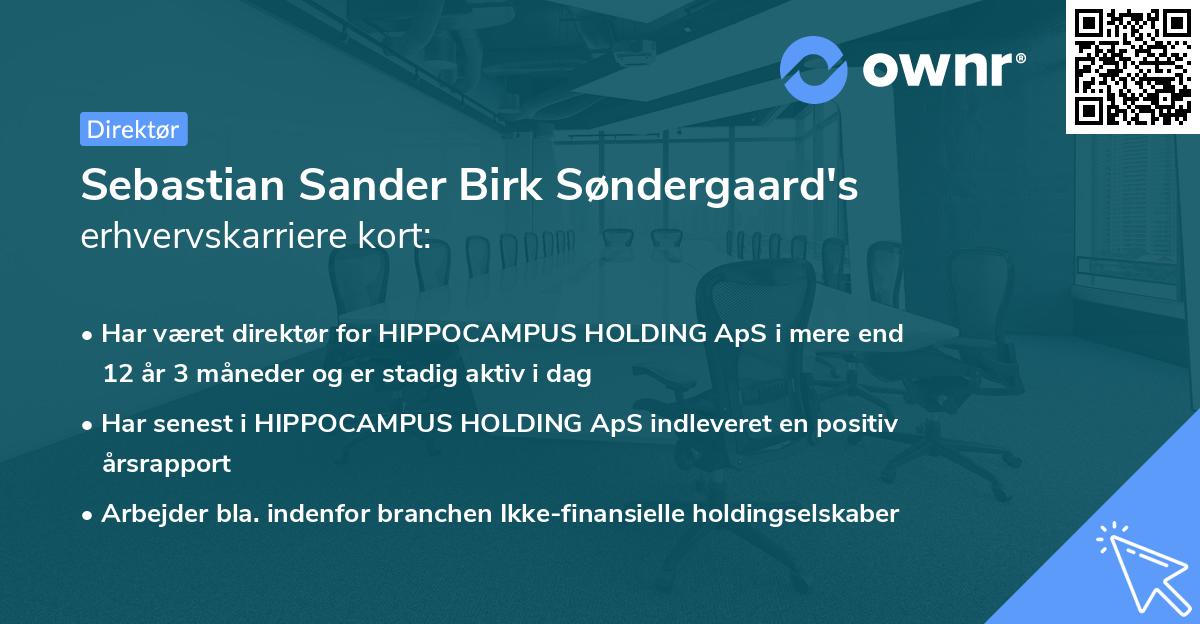 Sebastian Sander Birk Søndergaard's erhvervskarriere kort