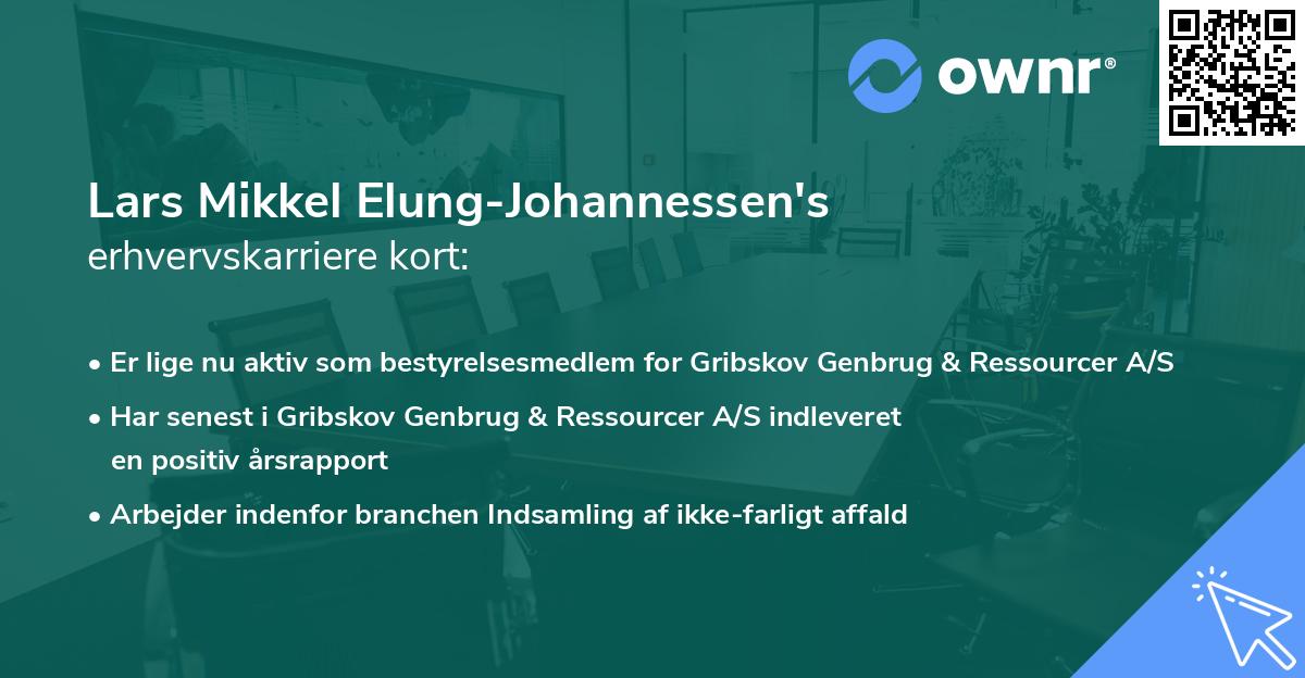 Lars Mikkel Elung-Johannessen's erhvervskarriere kort