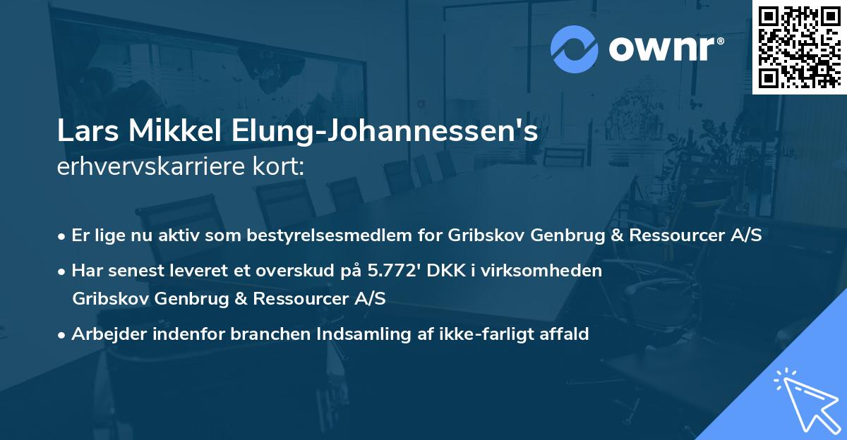 Lars Mikkel Elung-Johannessen's erhvervskarriere kort