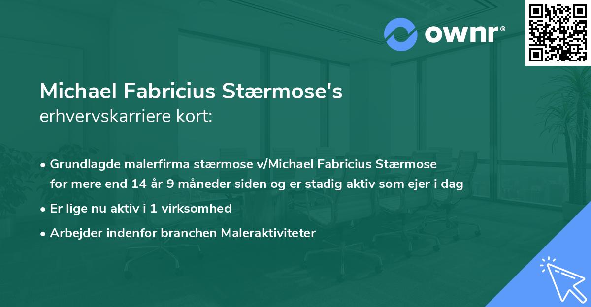 Michael Fabricius Stærmose's erhvervskarriere kort