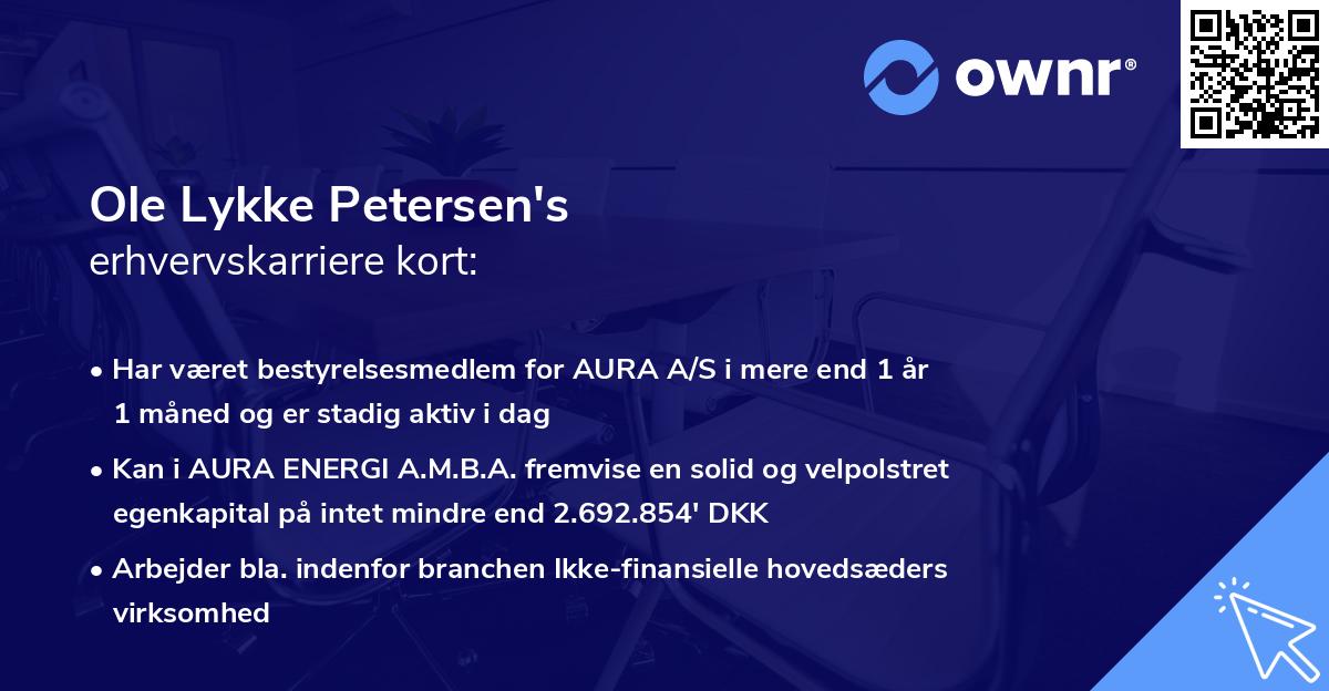 Ole Lykke Petersen's erhvervskarriere kort