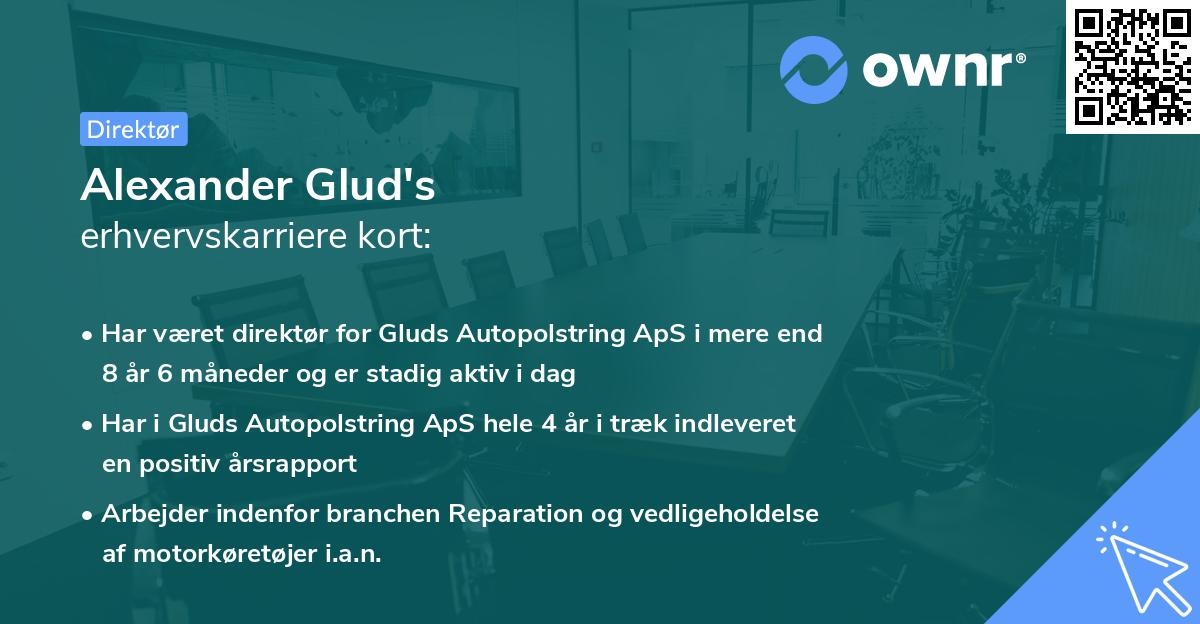 Alexander Glud's erhvervskarriere kort