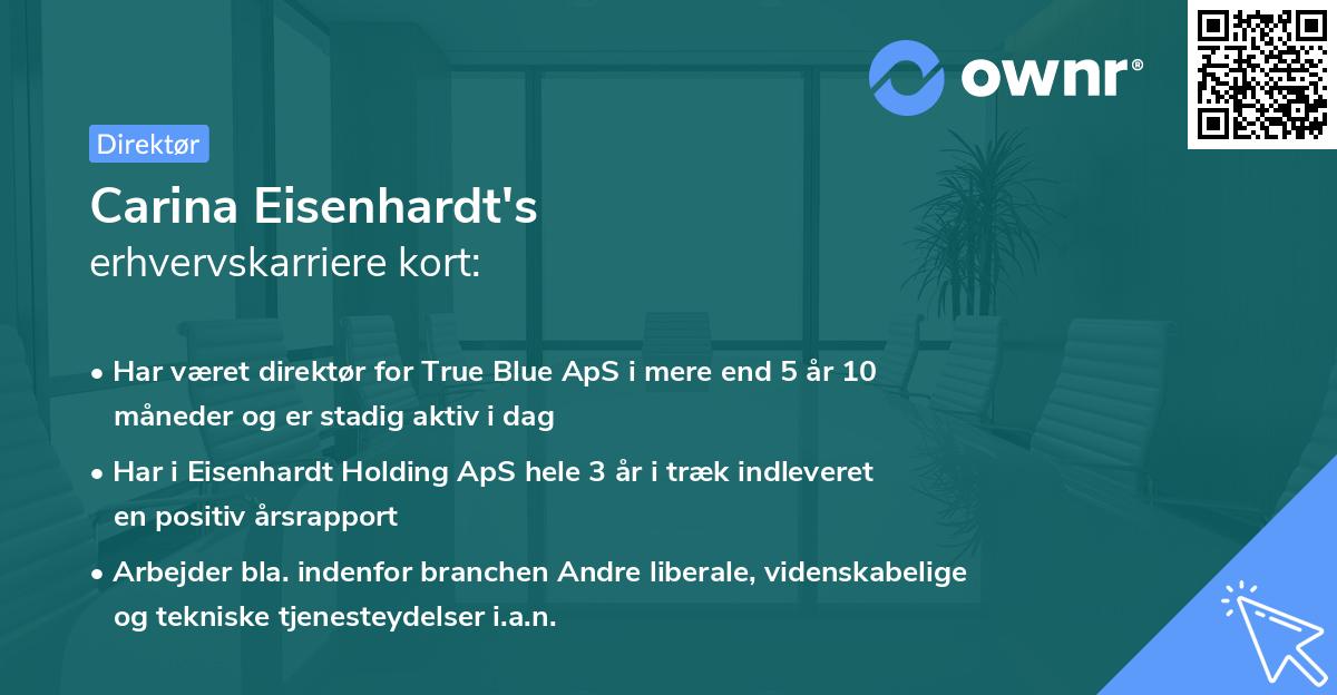 Carina Eisenhardt's erhvervskarriere kort