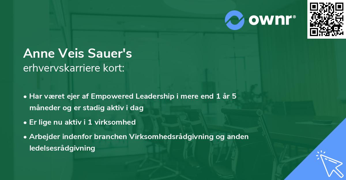 Anne Veis Sauer's erhvervskarriere kort