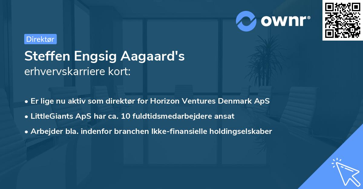 Steffen Engsig Aagaard's erhvervskarriere kort