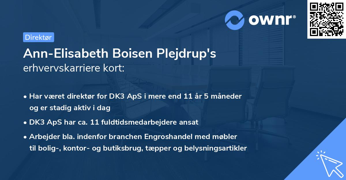 Ann-Elisabeth Boisen Plejdrup's erhvervskarriere kort