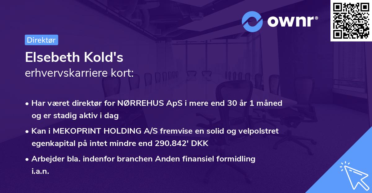 Elsebeth Kold's erhvervskarriere kort