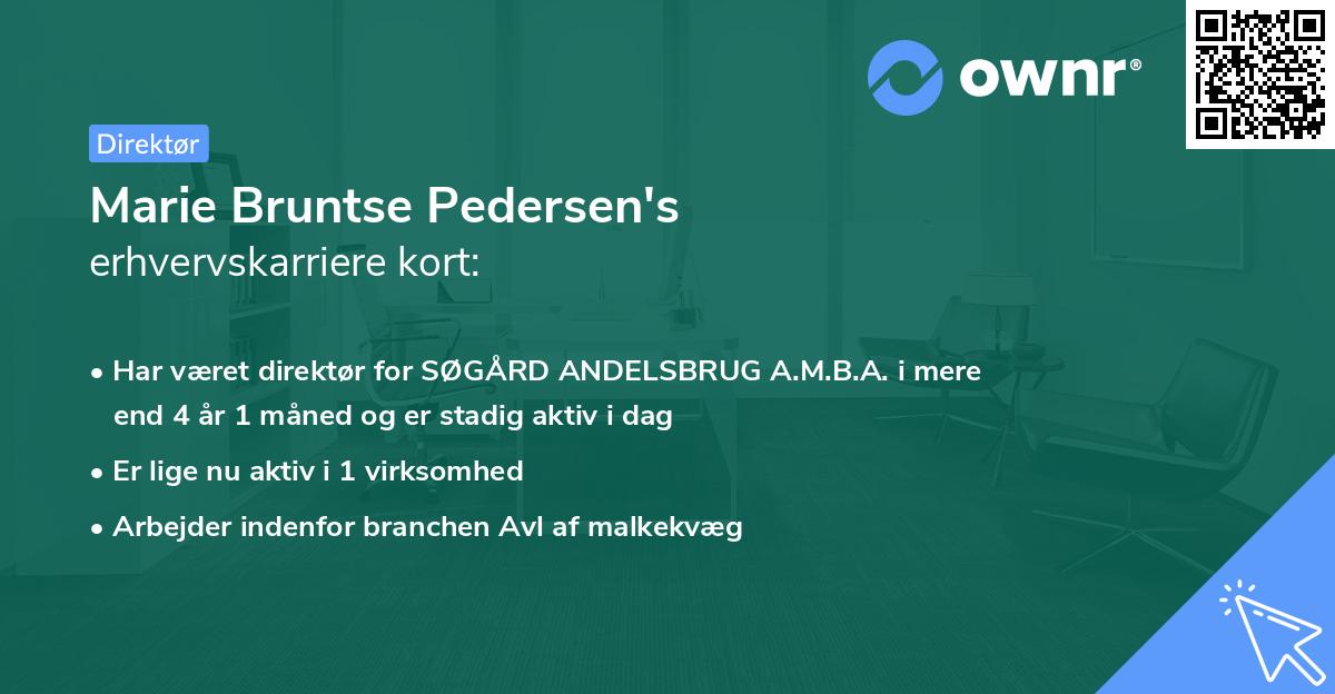 Marie Bruntse Pedersen's erhvervskarriere kort