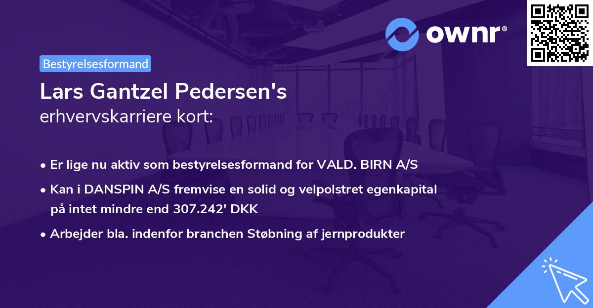 Lars Gantzel Pedersen's erhvervskarriere kort