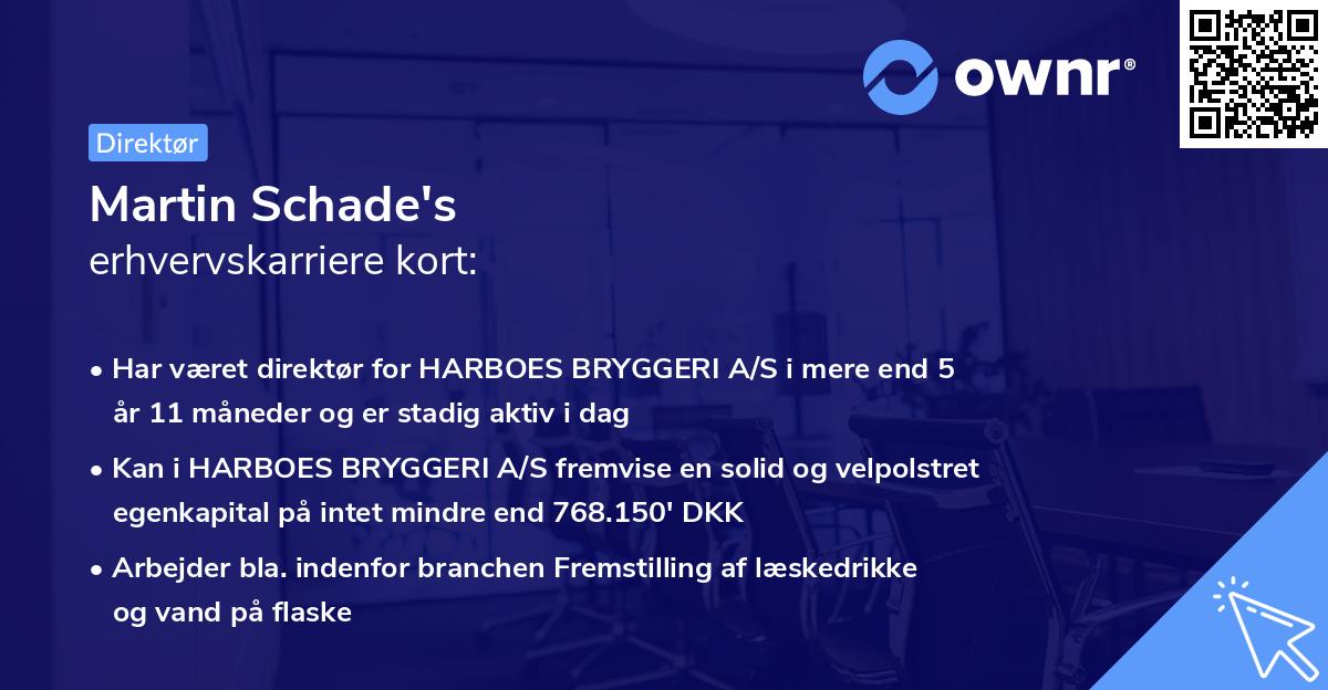 Martin Schade's erhvervskarriere kort