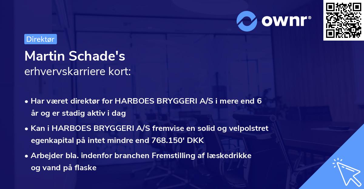 Martin Schade's erhvervskarriere kort