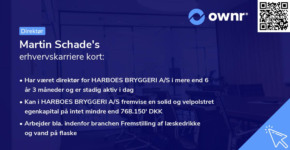 Martin Schade's erhvervskarriere kort