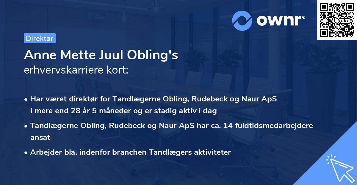 Anne Mette Juul Obling's erhvervskarriere kort