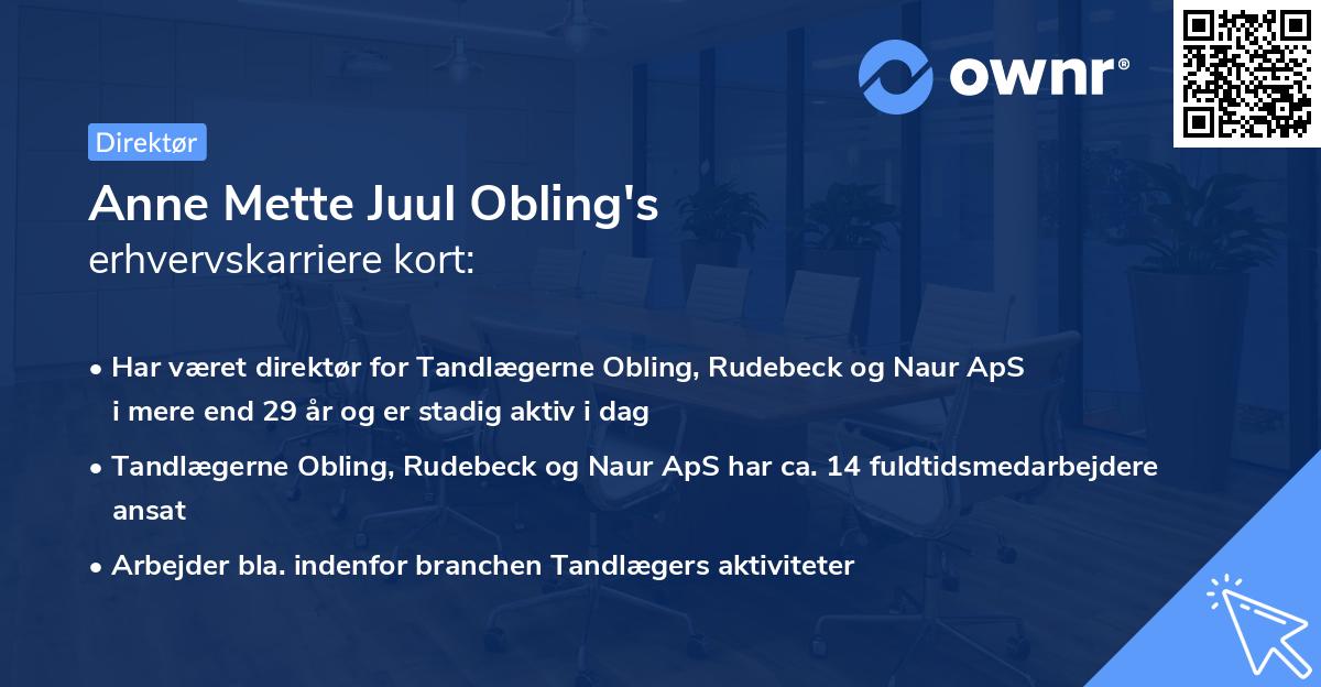 Anne Mette Juul Obling's erhvervskarriere kort