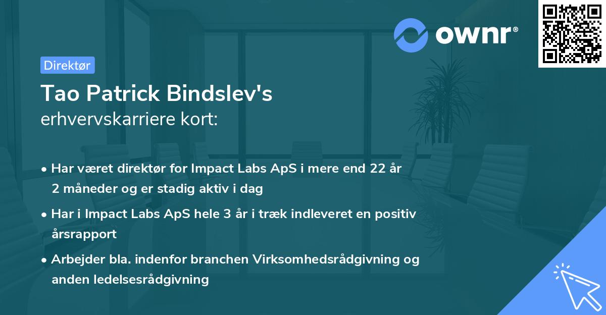Tao Patrick Bindslev's erhvervskarriere kort