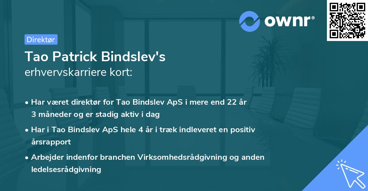 Tao Patrick Bindslev's erhvervskarriere kort