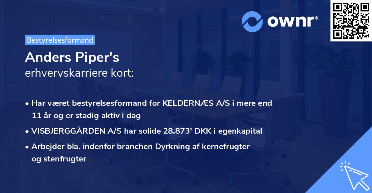 Anders Piper's erhvervskarriere kort