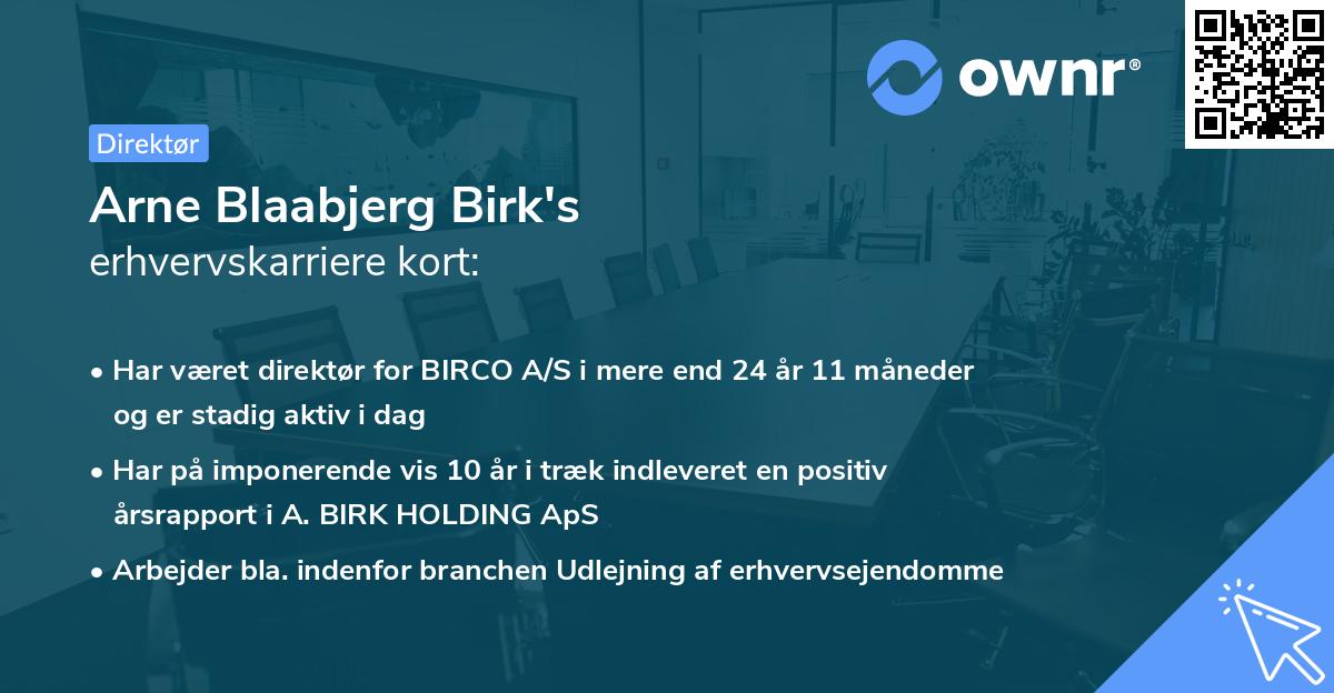 Arne Blaabjerg Birk's erhvervskarriere kort