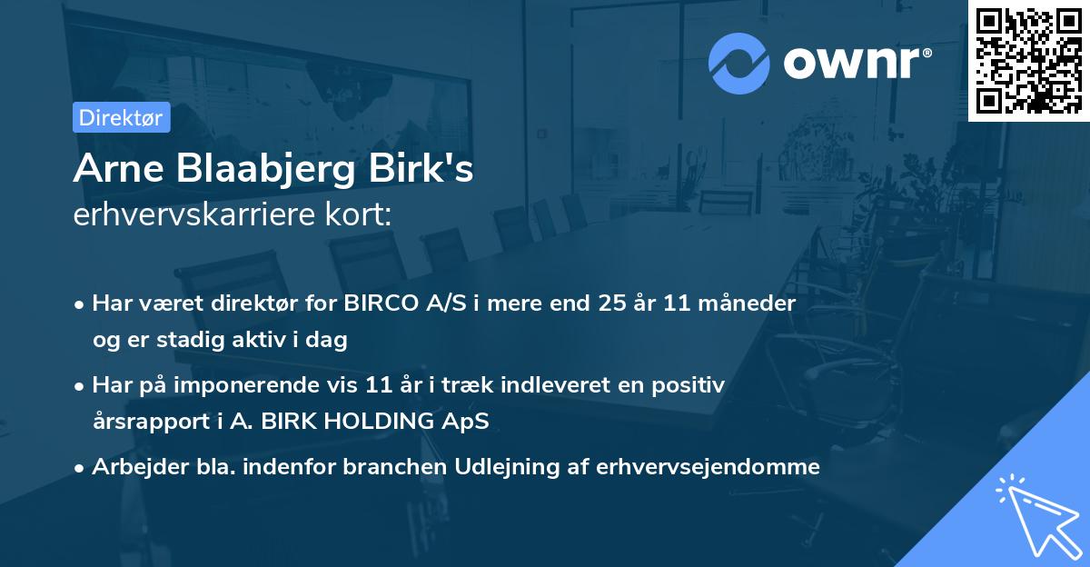 Arne Blaabjerg Birk's erhvervskarriere kort