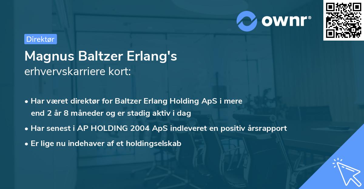 Magnus Baltzer Erlang's erhvervskarriere kort