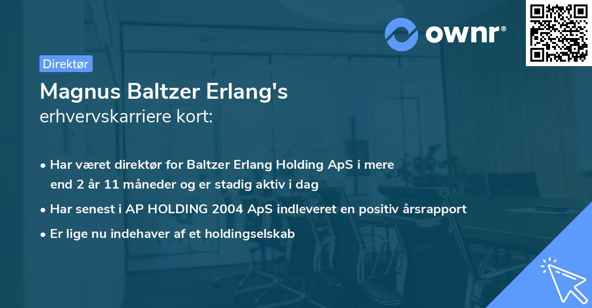 Magnus Baltzer Erlang's erhvervskarriere kort