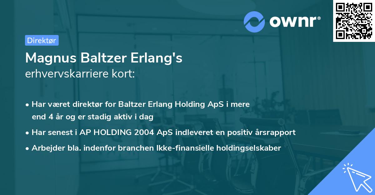 Magnus Baltzer Erlang's erhvervskarriere kort