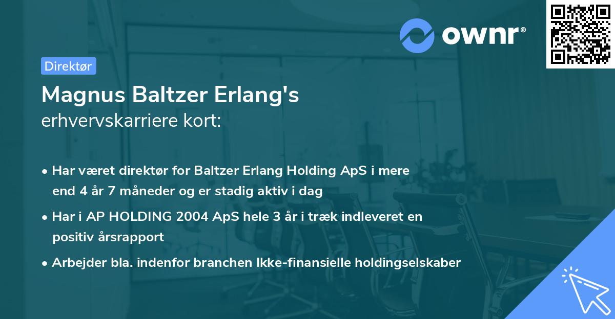 Magnus Baltzer Erlang's erhvervskarriere kort