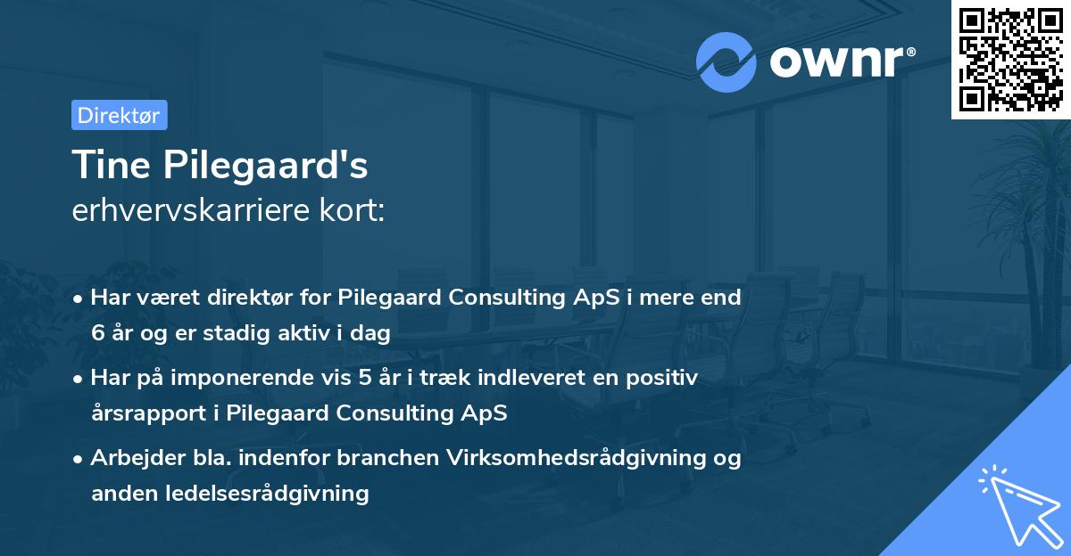 Tine Pilegaard's erhvervskarriere kort