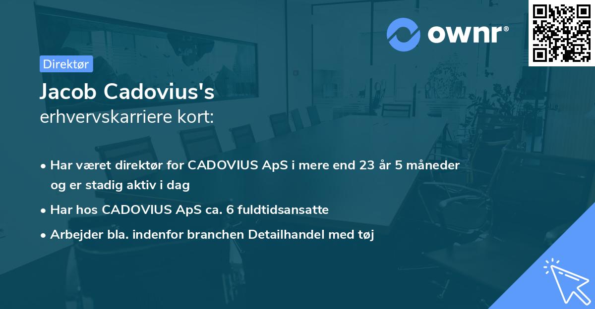 Jacob Cadovius's erhvervskarriere kort